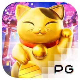 esenyurtescortdnz: Lucky Neko